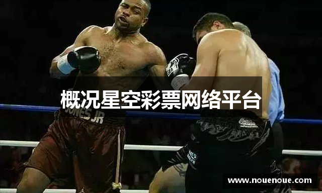 概况星空彩票网络平台
